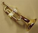 Billede af Trompet 12,5 cm.